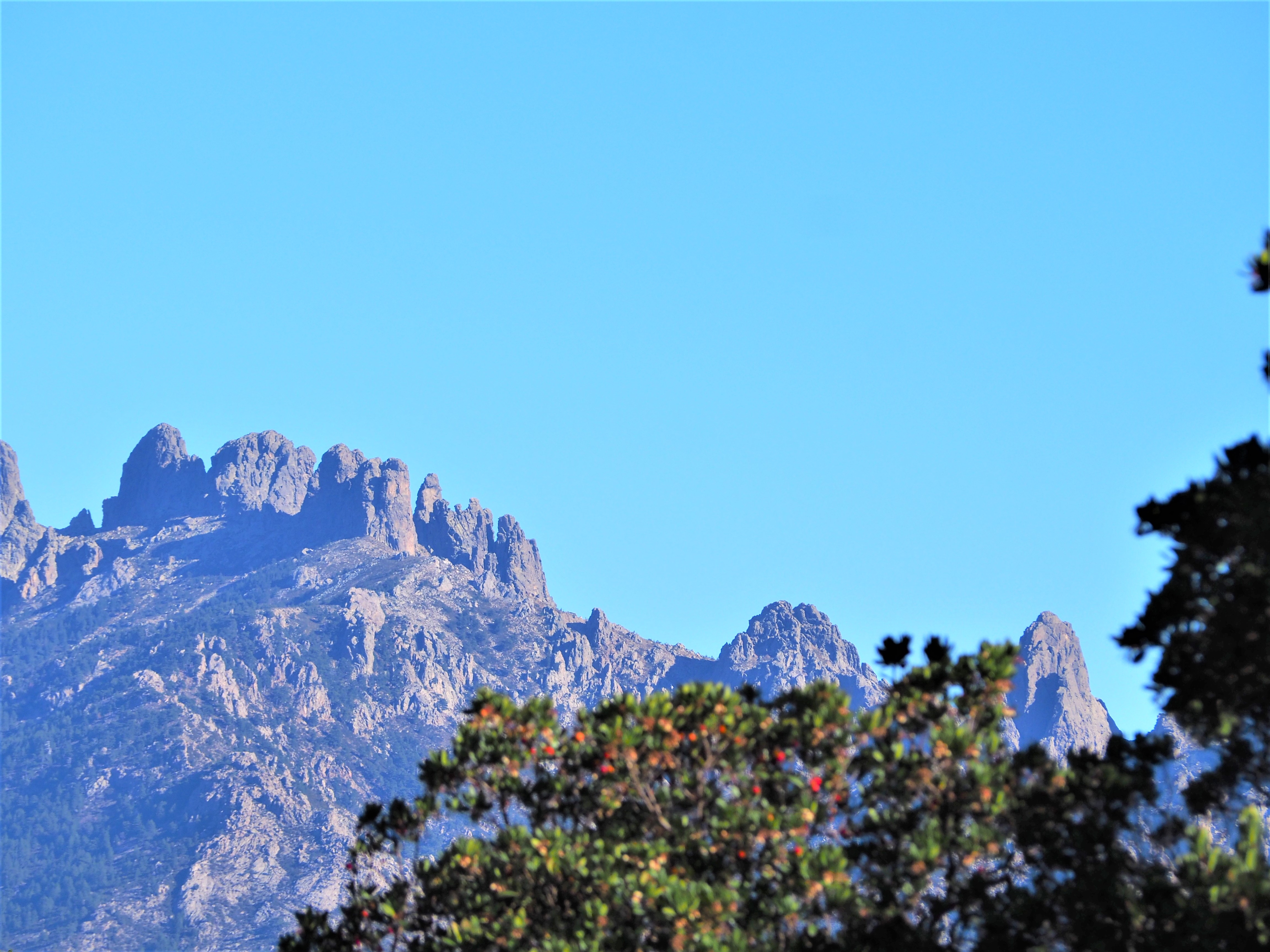 Visiter La Micro R Gion De L Alta Rocca En Corse Du Sud