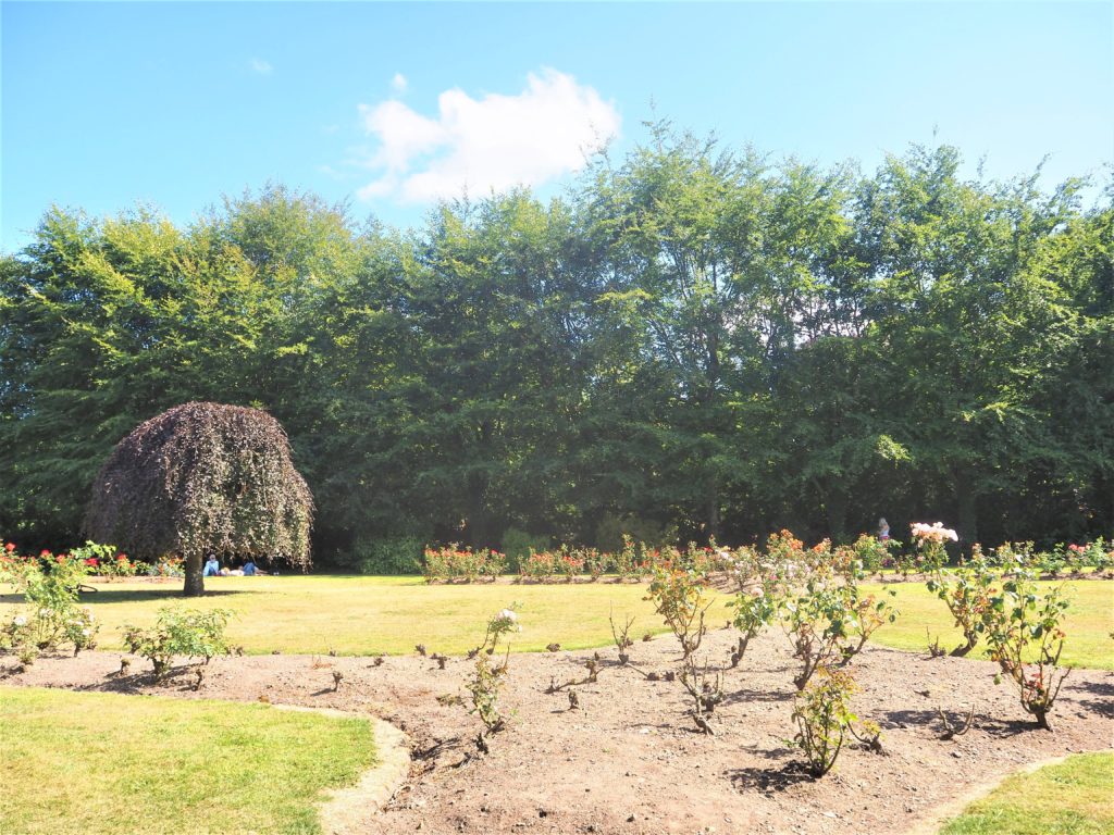 Fitzgerald-Park-à-Cork-irlande.-le jardin