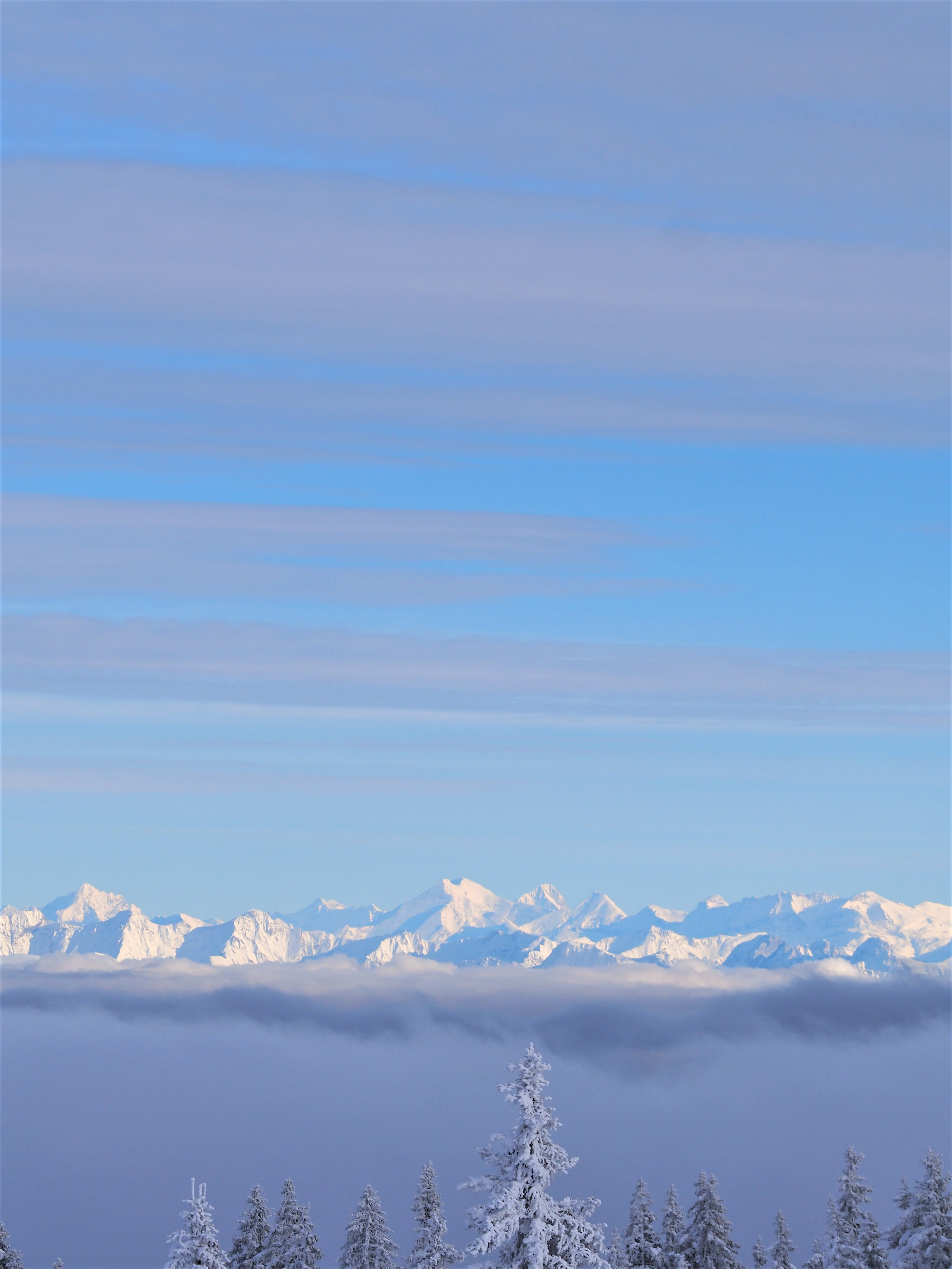 apin-et-alpes-en-face-france-Suisse-Lausanne-Canton-de-Vaud-Jura-Mont-Tendre-randonnee-clioandco-blog-voyage.