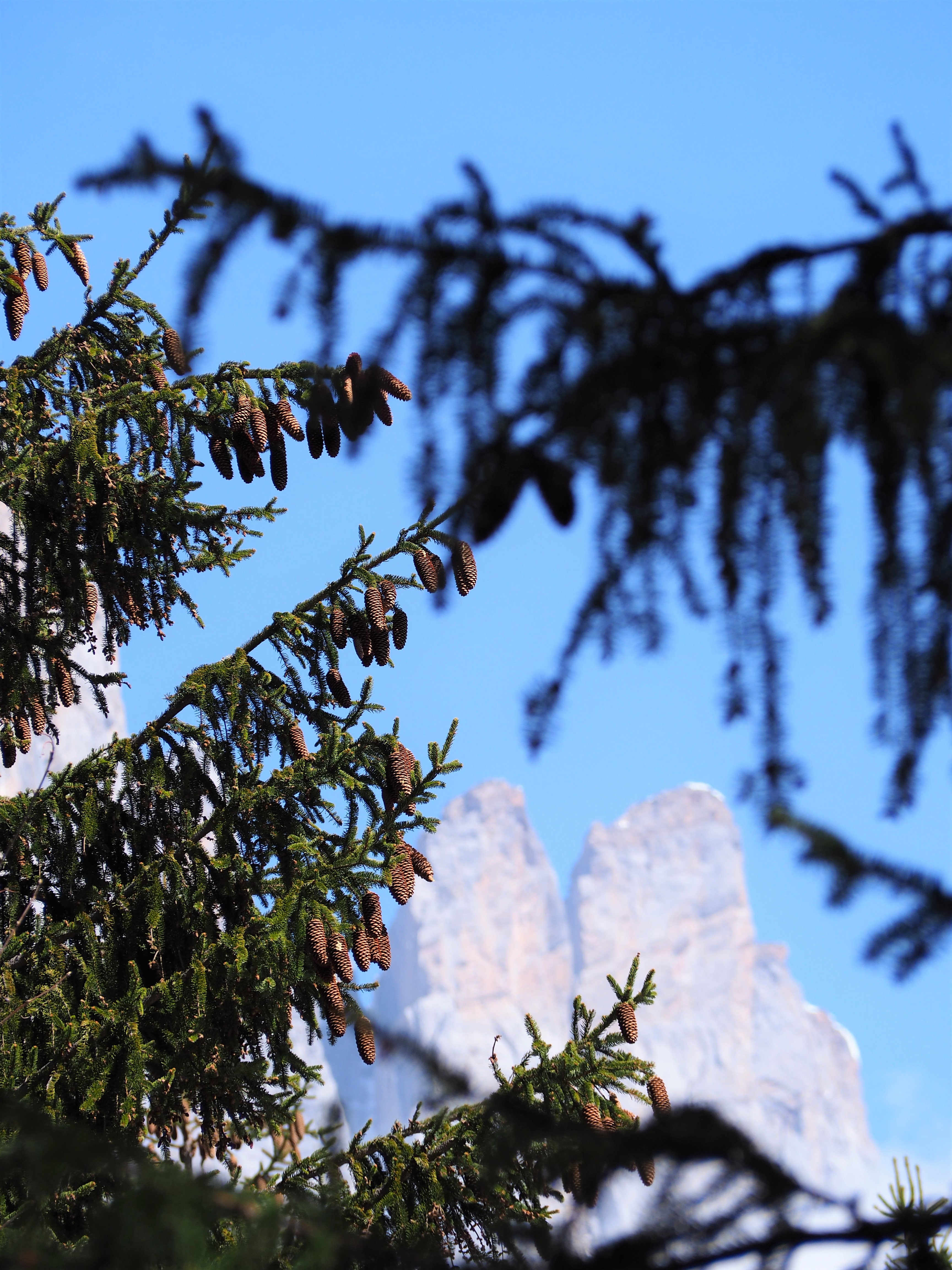 Rochers de Fiz - Haute-Savoie