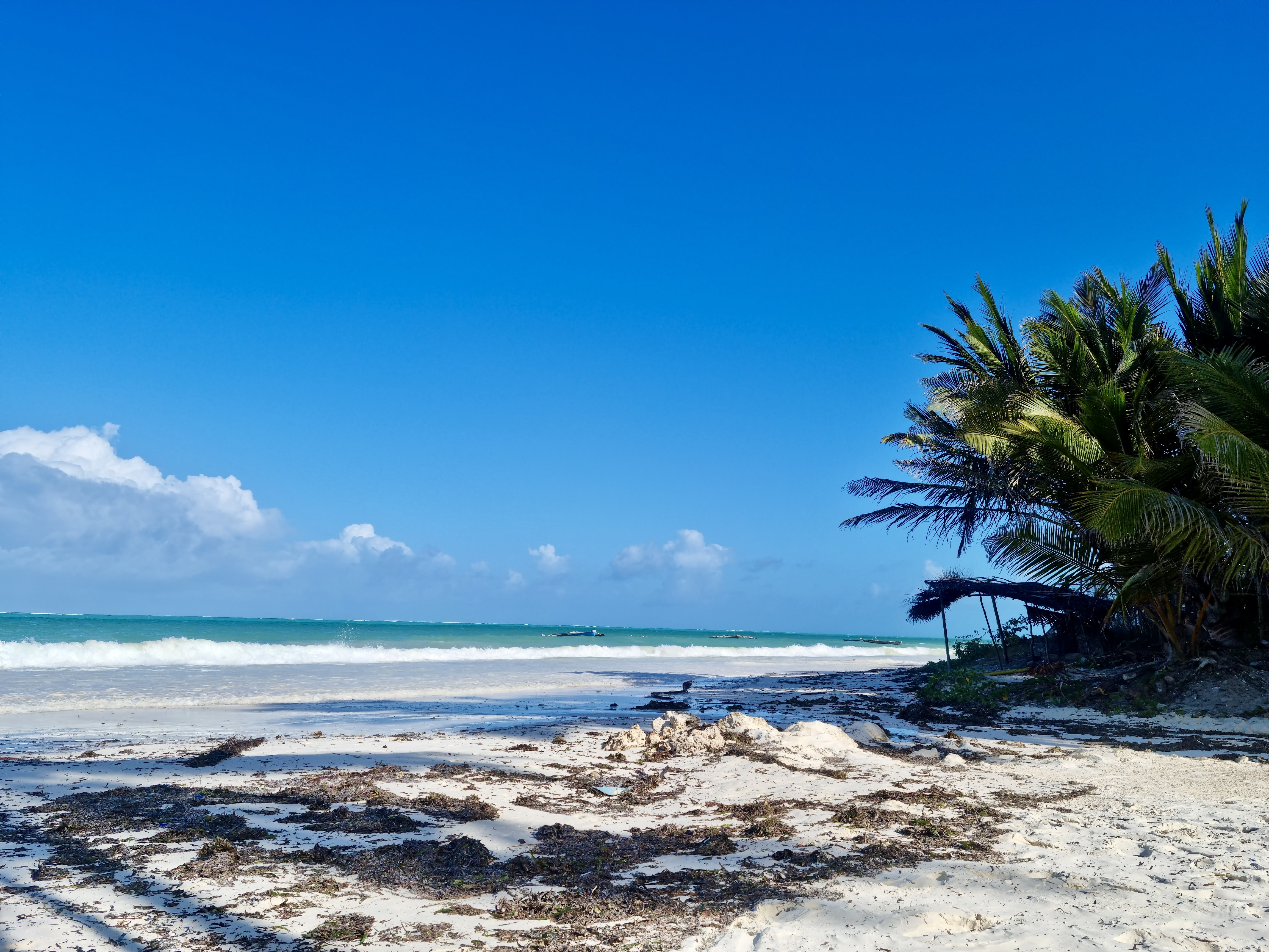 bwejuu-plage-zanzibar-the-african-paradise