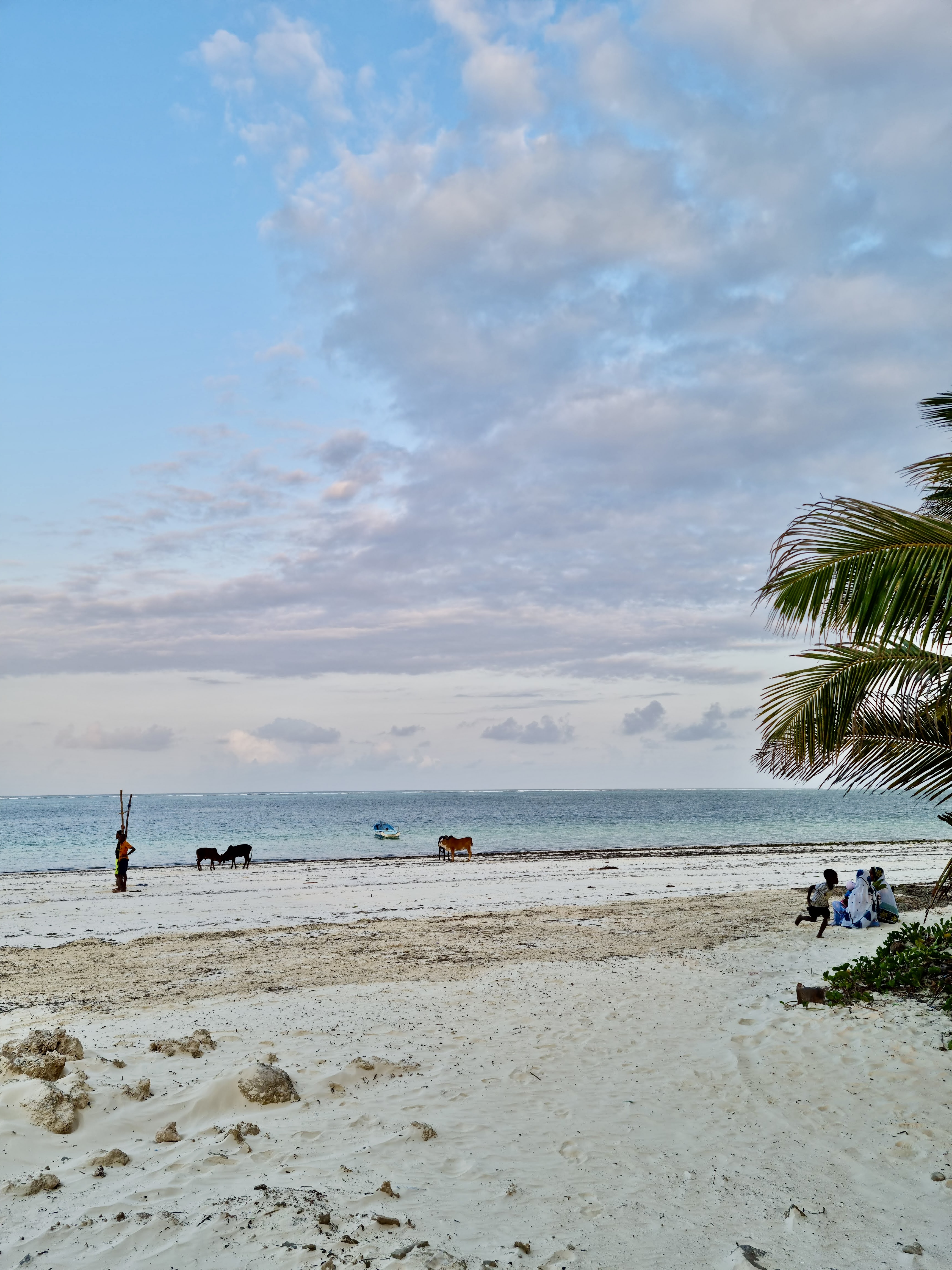 zanzibar plage bwejuu