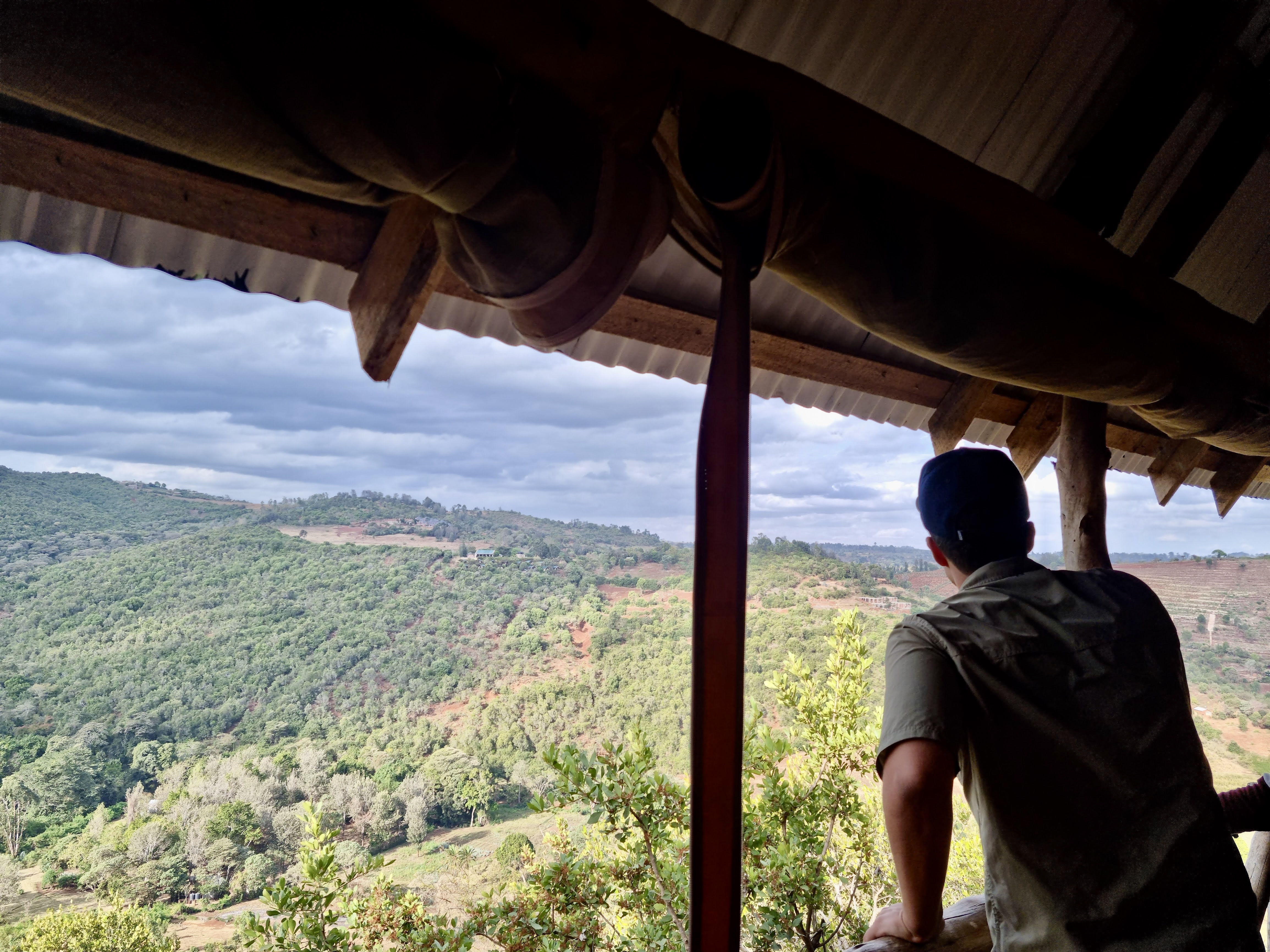 Ngorongoro Forest Tented Lodge, qui se situe dans la forêt du Ngorongoro