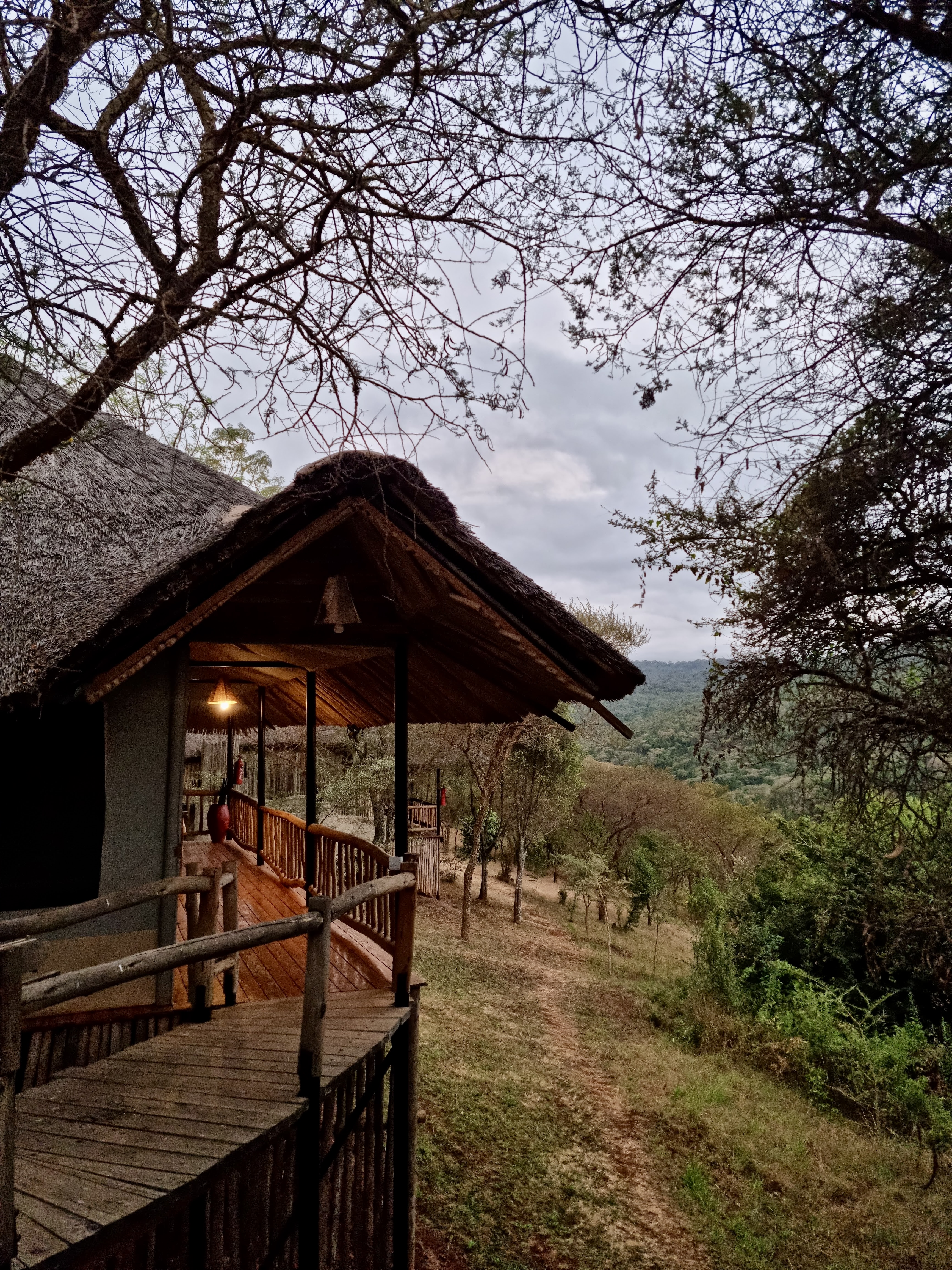 Ngorongoro Forest Tented Lodge