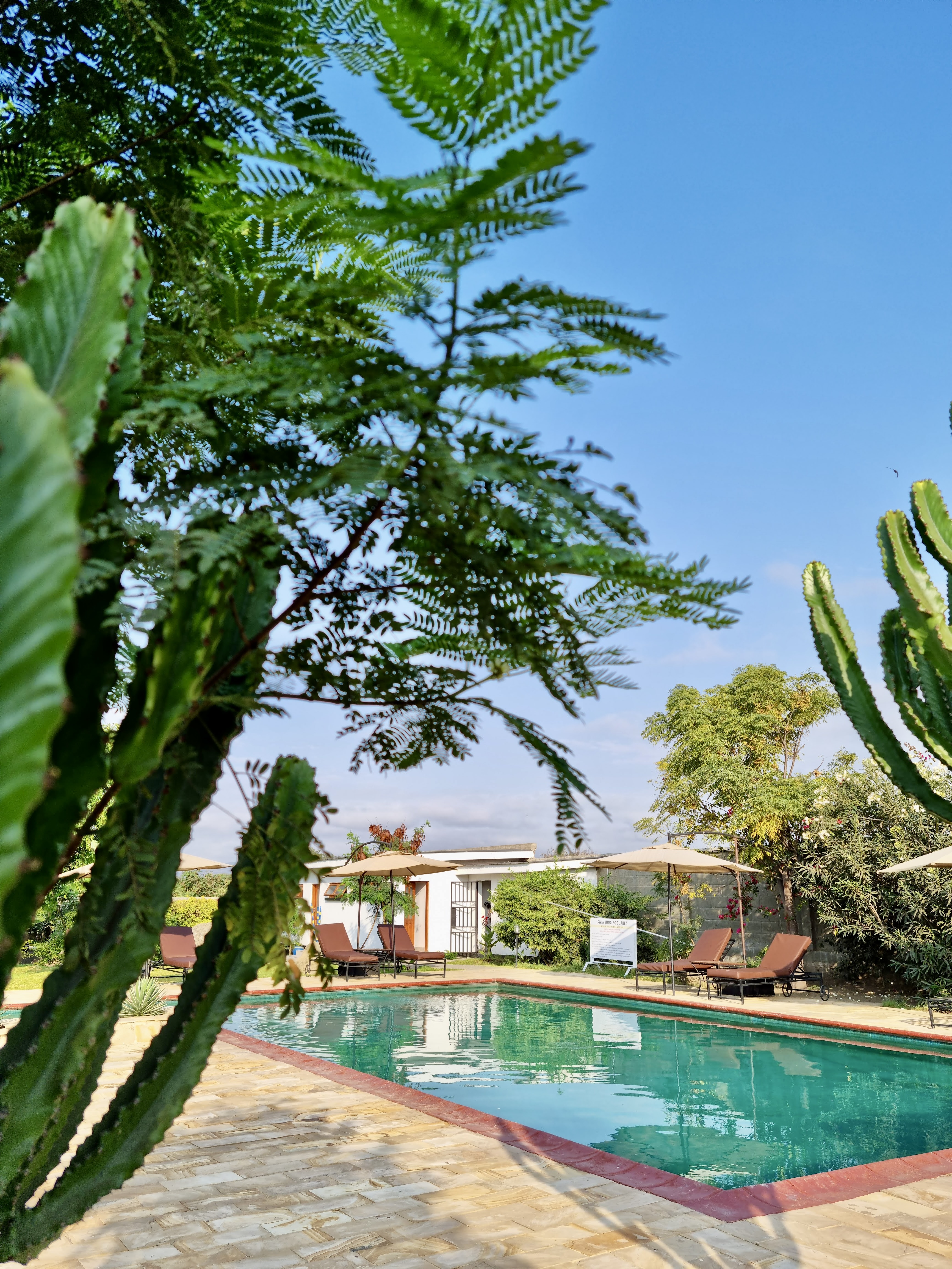 Moyoni Airport Lodge piscine pour le safari tanzanie