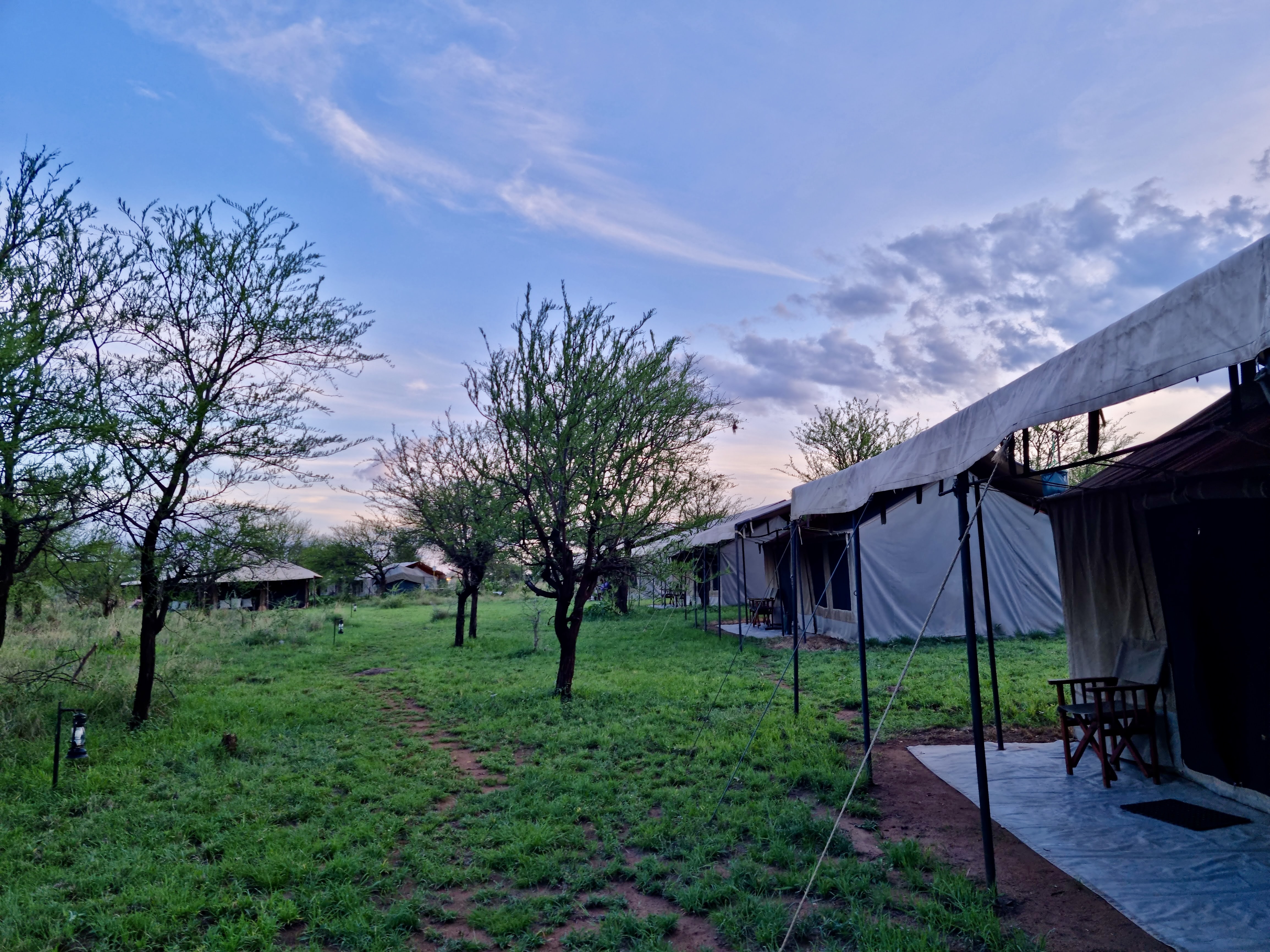 Serengeti Wildlands Camp safari tanzanie