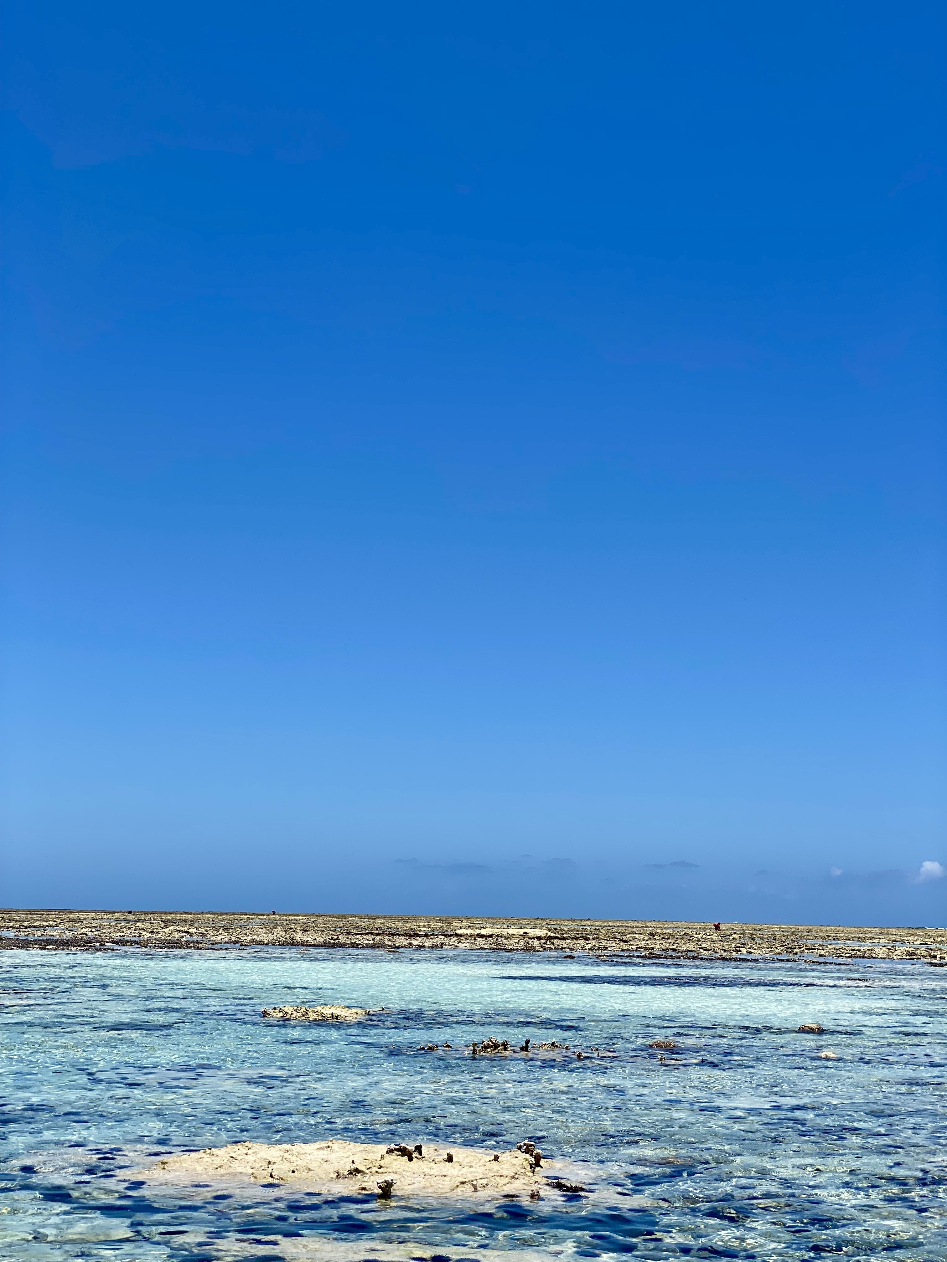 barrière de corail Zanzibar