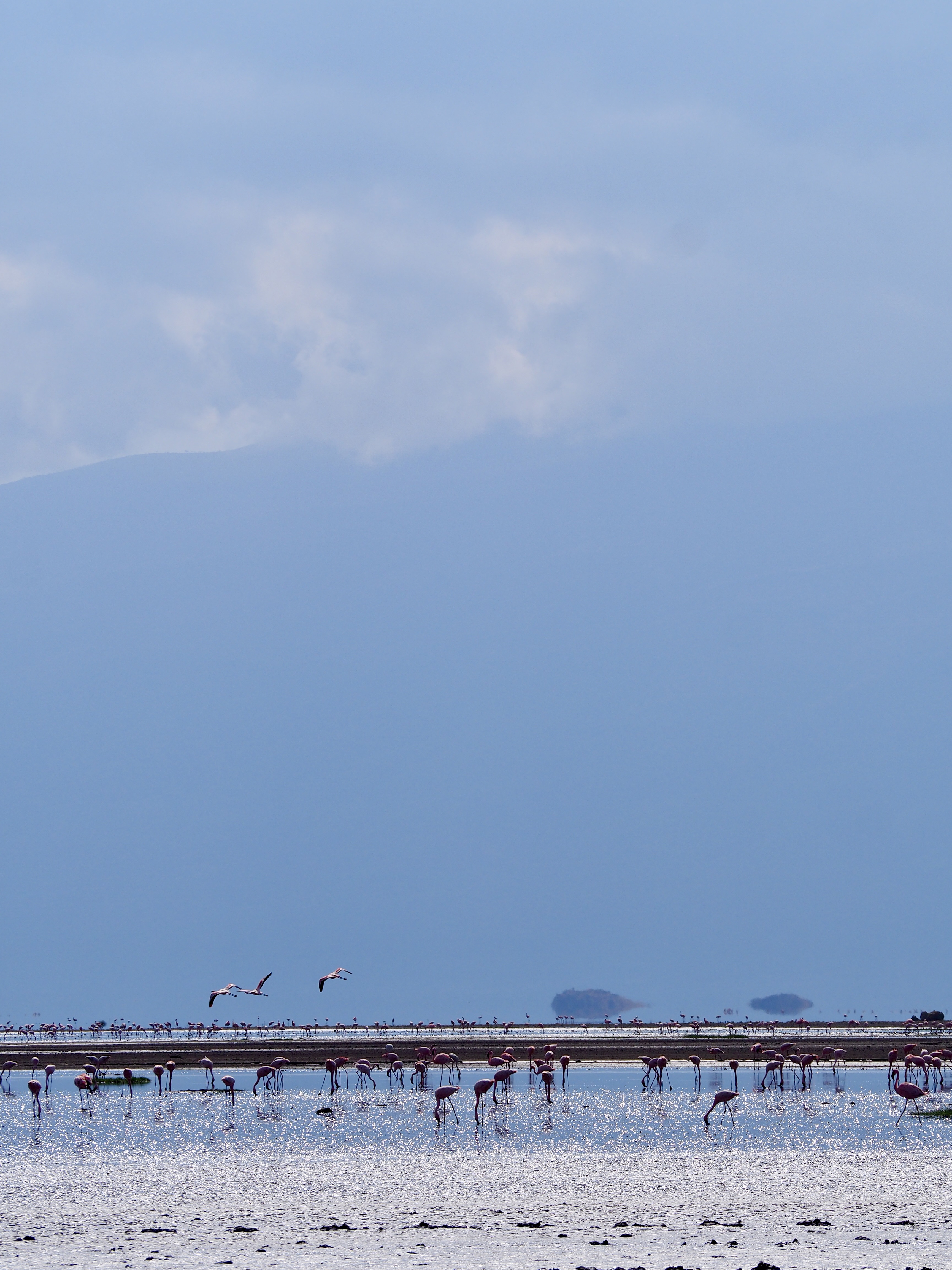 lac-natron-flamant-rose