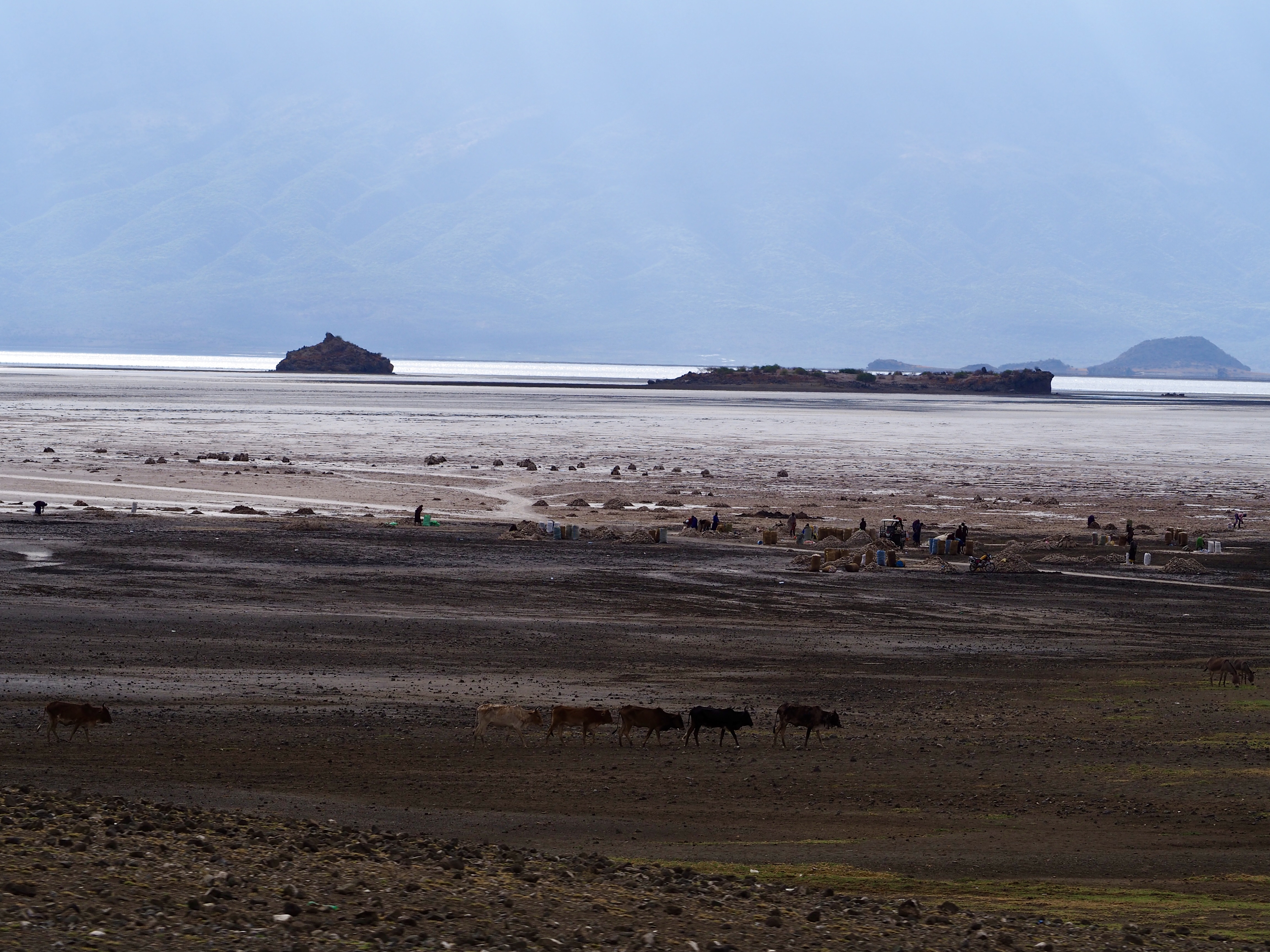 lac-natron-tanzani-safari.