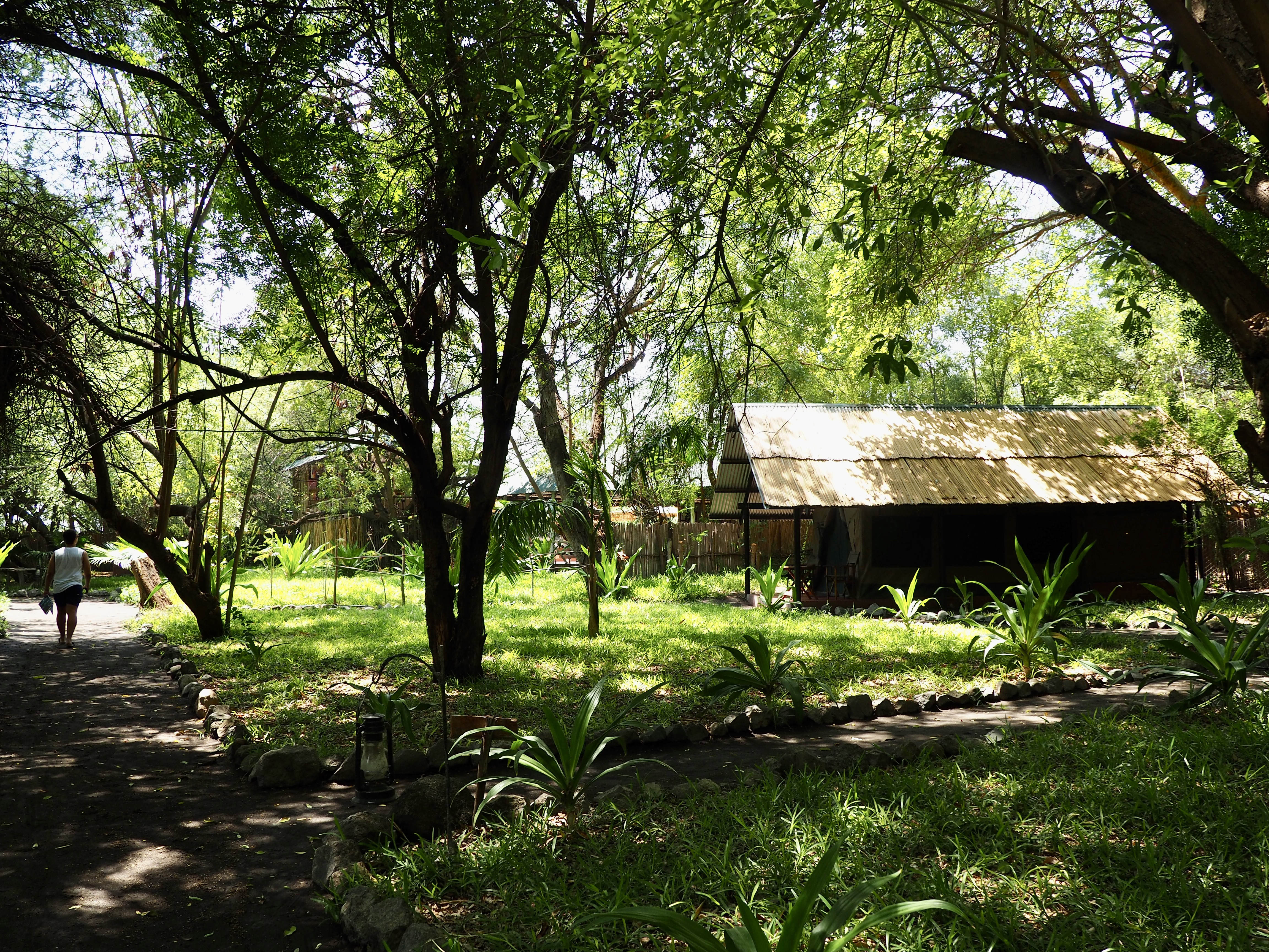 natron-river-camp-safari-tanzanie