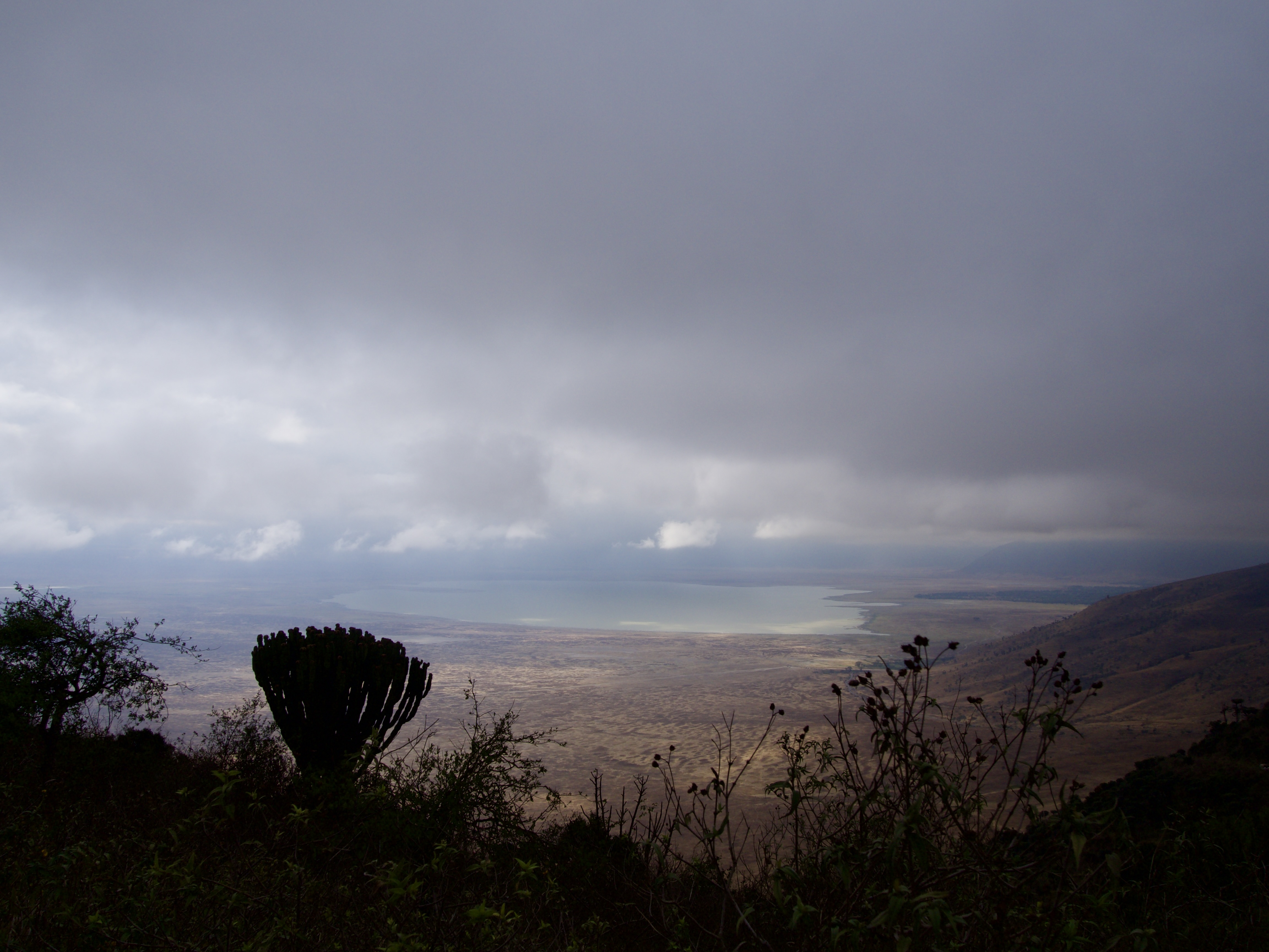 ngorongoro-safari-tanzanie-reserve