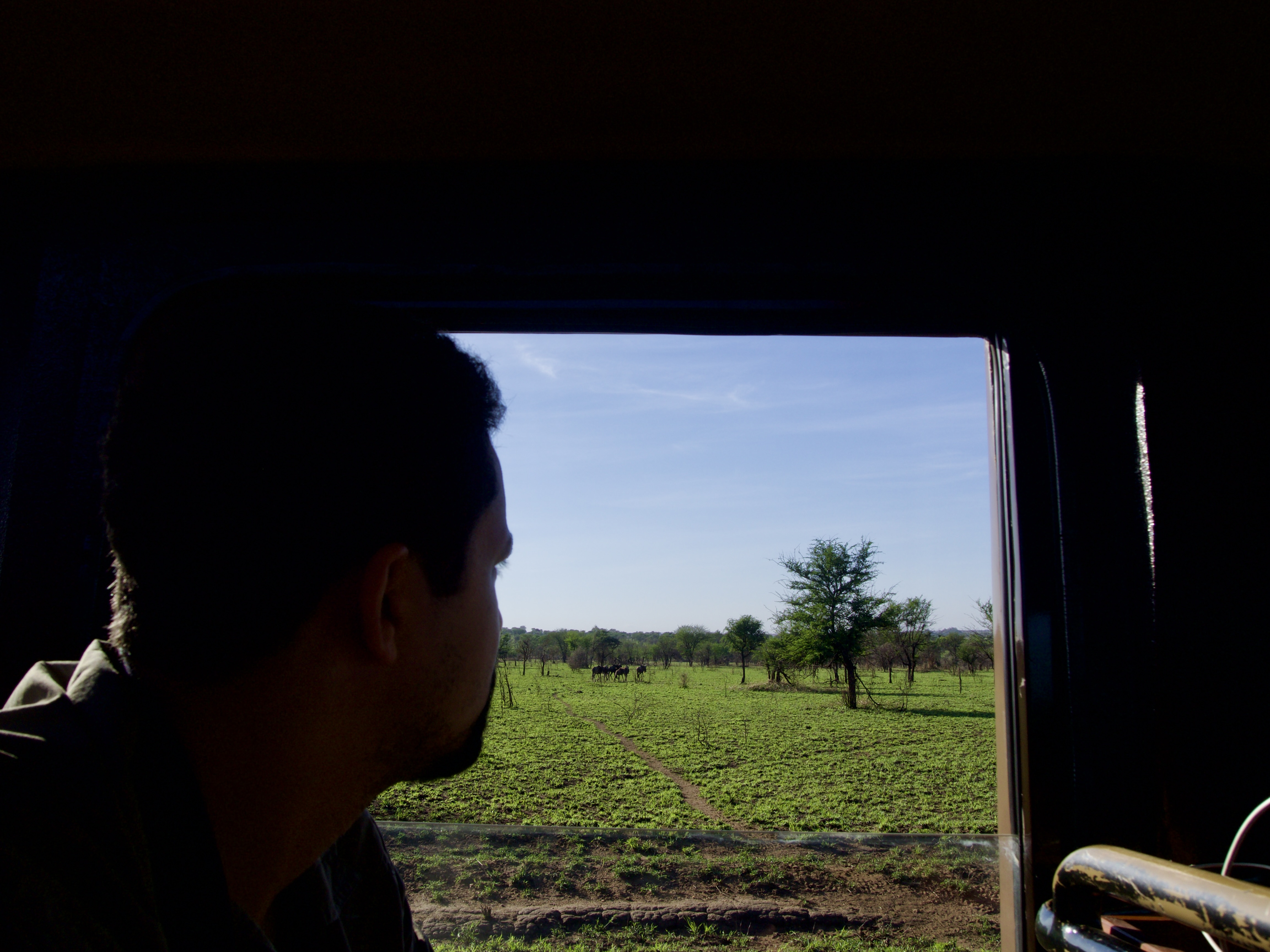 serengeti-safari-tanzanie-2